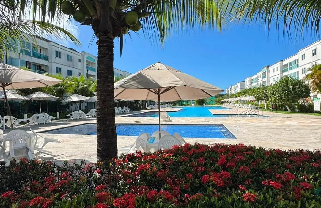 Palm Village Acqua-1
