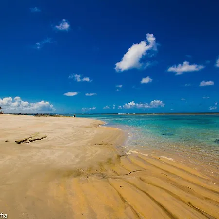 Apt Lindo No Palm Village Em Porto De Galinhas - Eco13-3