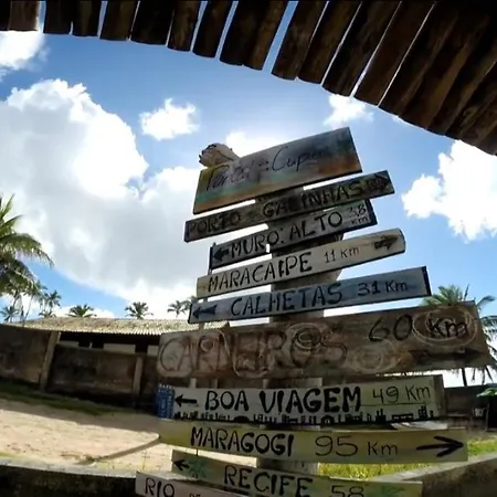 Palm Village - O Melhor de Cupe e Porto-3